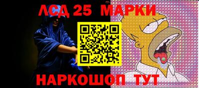 2c-b Кингисепп