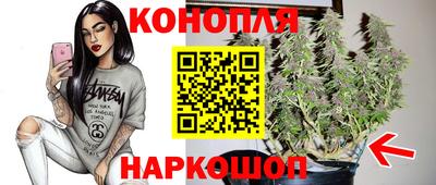 2c-b Кингисепп