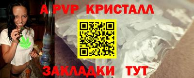 2c-b Кингисепп