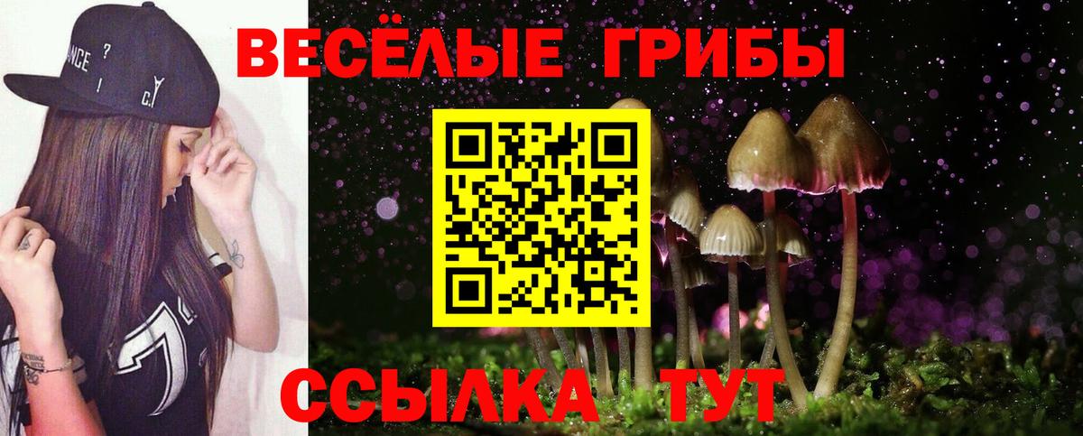Псилоцибиновые грибы Psilocybe Кувандык
